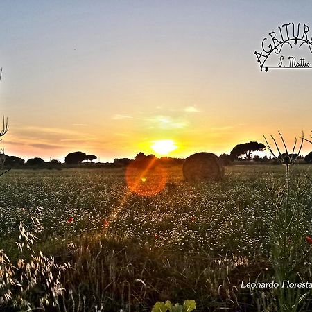 Agriturismo San Matteo Таркиния Екстериор снимка