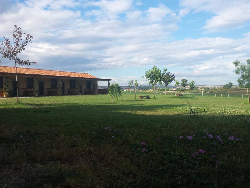 Agriturismo San Matteo Таркиния Стая снимка