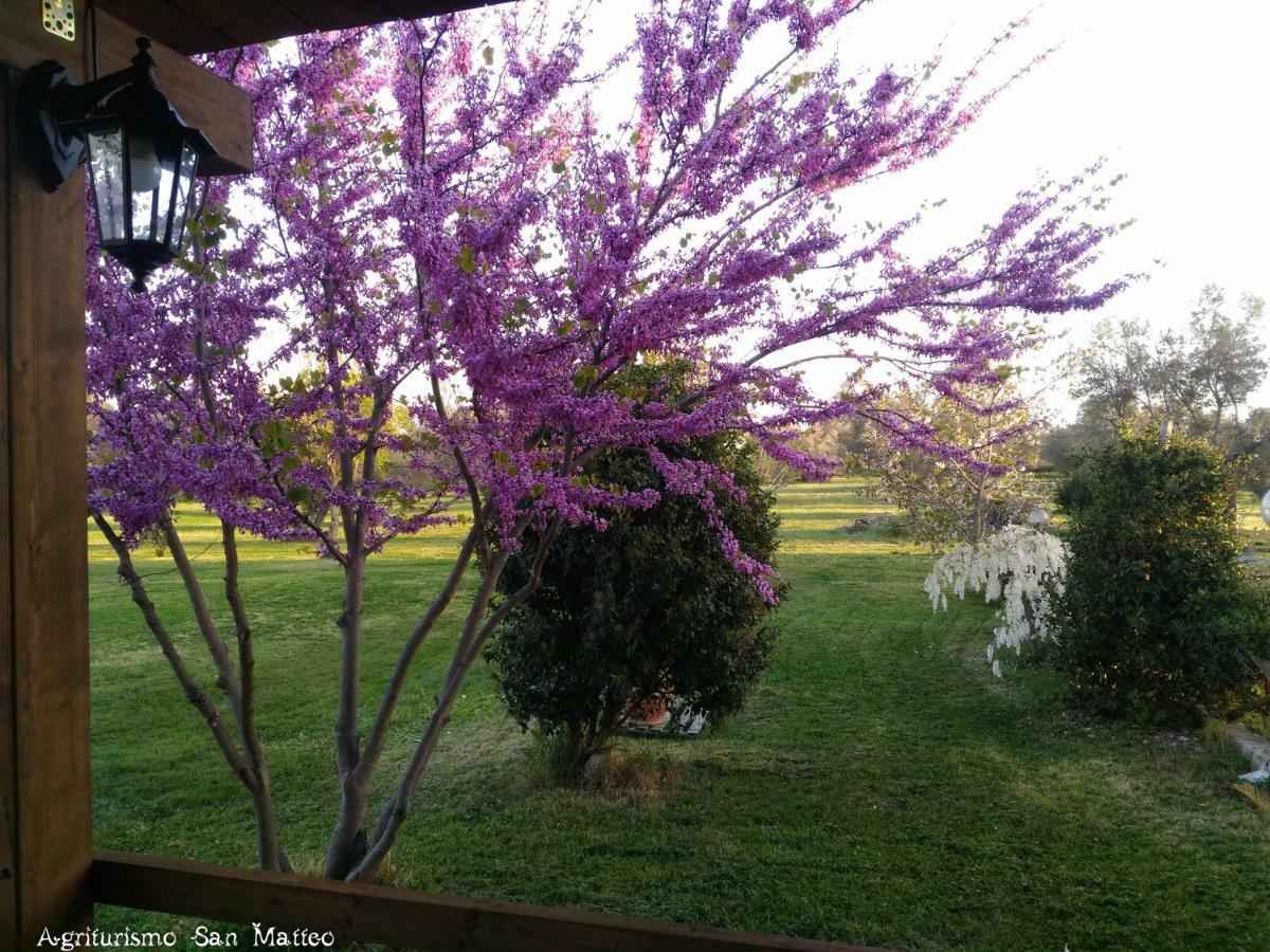 Agriturismo San Matteo Таркиния Екстериор снимка