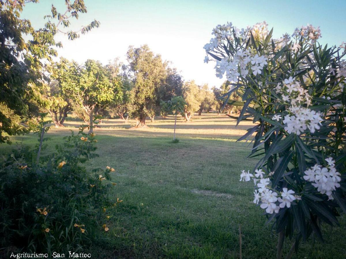 Agriturismo San Matteo Таркиния Екстериор снимка