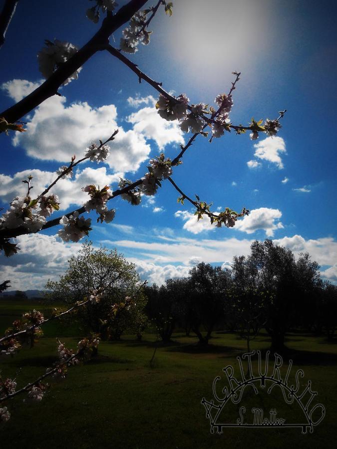 Agriturismo San Matteo Таркиния Екстериор снимка