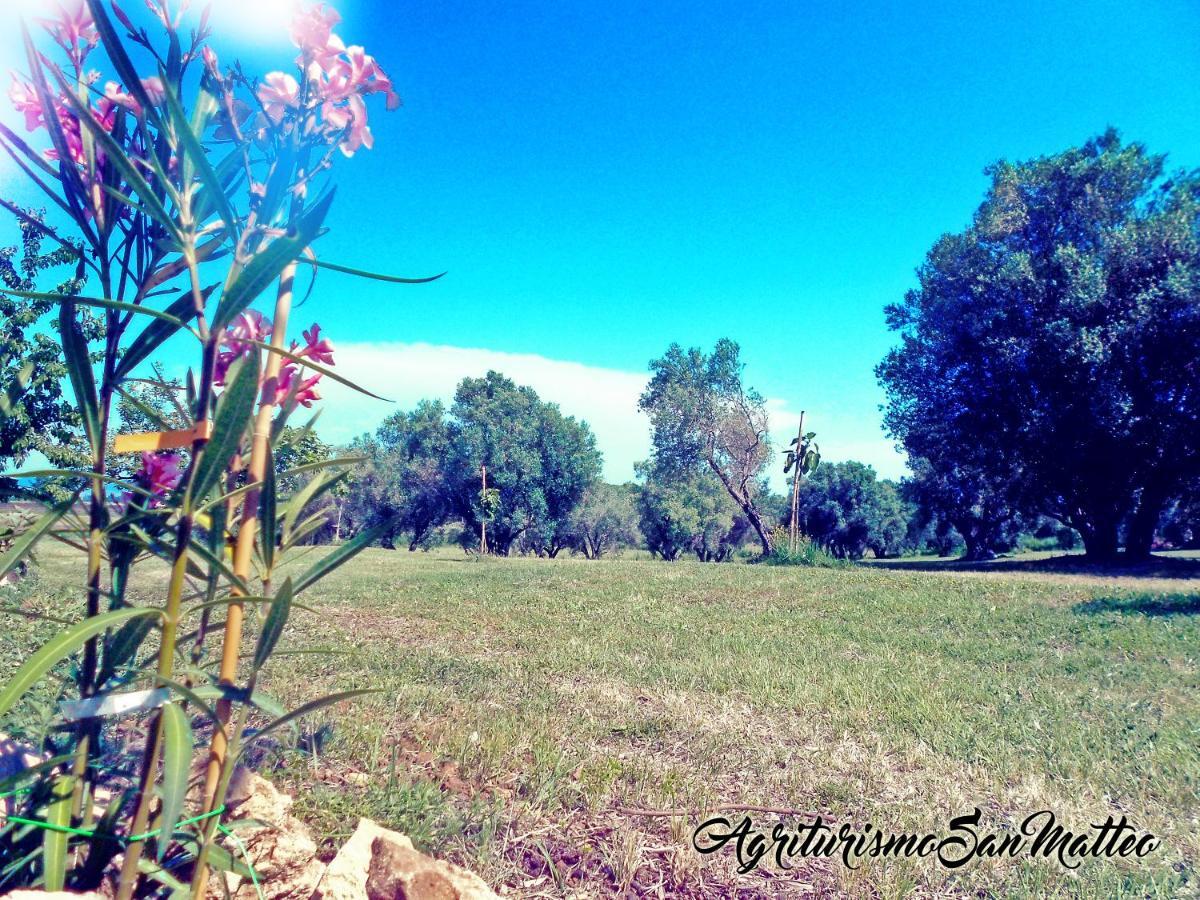 Agriturismo San Matteo Таркиния Екстериор снимка
