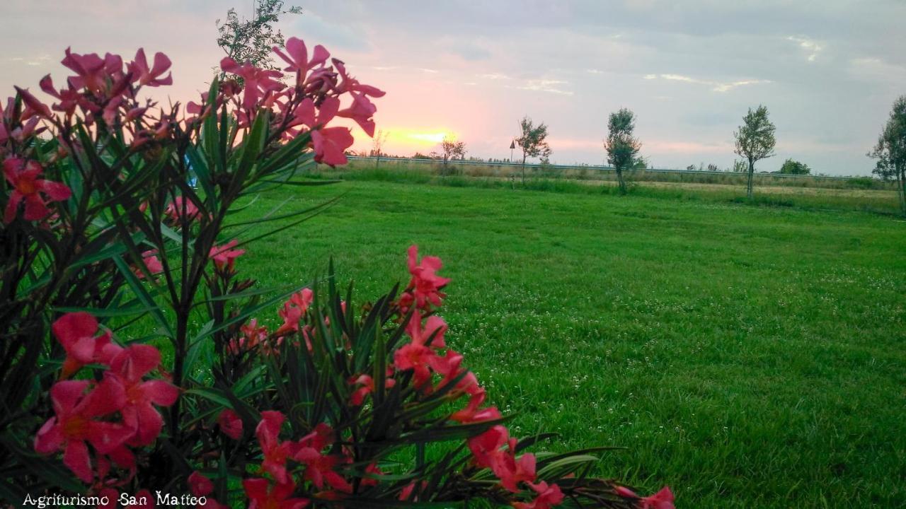 Agriturismo San Matteo Таркиния Екстериор снимка